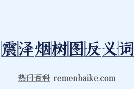 震泽烟树图反义词是什么意思的图片